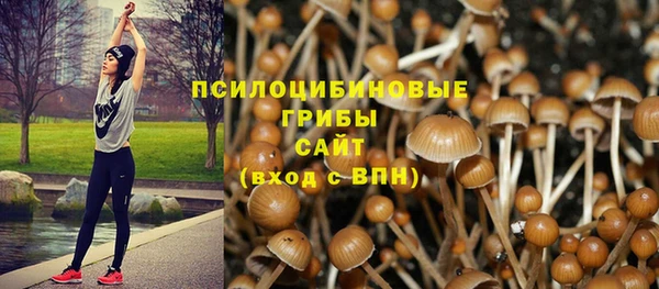 mix Баксан