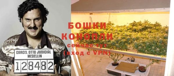 PSILOCYBIN Балахна