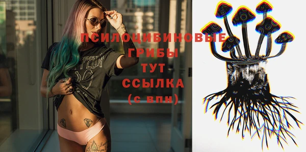 PSILOCYBIN Балахна