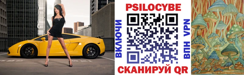 blacksprut зеркало  хочу   Переславль-Залесский  Галлюциногенные грибы Cubensis 